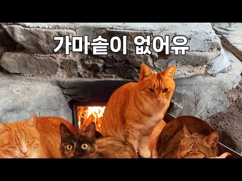 가마솥 날려 먹고, 다시 온돌 난방 가동한 마당냥이네