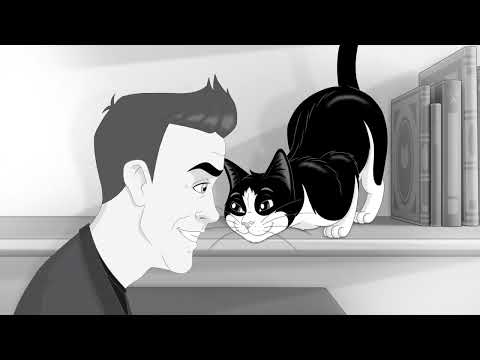 Live Like you are Felix. Its Great to be a Cat!