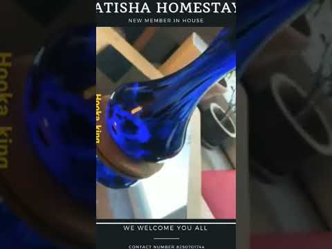 Atisha Homestay,Kopche Sikkim.