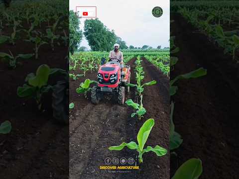 Amazing Mini-Tractor Machine