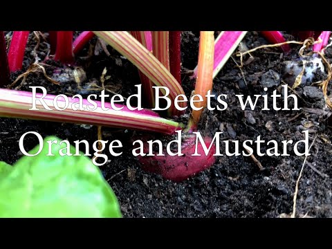 Roasted Beets with Orange Juice and Mustard