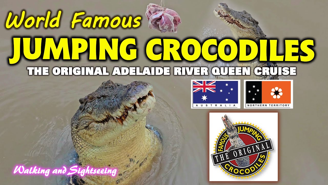 Experience a virtual Jumping Croc Cruise adventure.