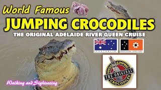 JUMPING CROCODILE CRUISE 2025 FAMOUS ADELAIDE RIVER QUEEN DARWIN 🐊 NORTHERN TERRITORY 🦅 AUSTRALIA 🇦🇺