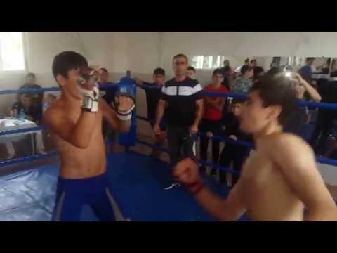 Vasak Barseghyan  MMA