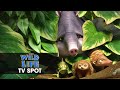 The Wild Life 2016 Movie Official TV Spot Work Together