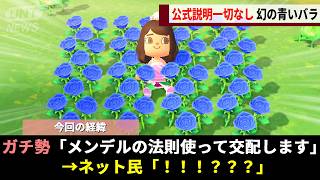 あつ森で何を掛け合わせても姿を現さない「幻の青いバラ」、ガチ勢が花1本１本に秘められた"本物の遺伝情報”を解読し学問が完成するwwww【あつまれどうぶつの森】