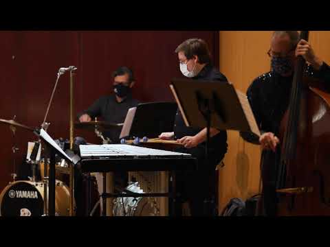 Michael Schelle : PAPA HEMINGWAY'S POLYDACTYLS