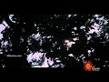 Thamarai Poovukkum HDTV Pasumpon