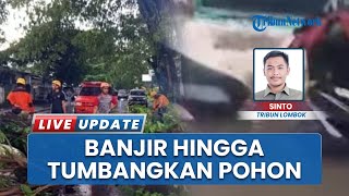 Diterjang Banjir, Belasan Rumah di Praya Lombok Tengah Terendam hingga Pohon Tumbang