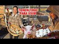 ABANDONARON La Ciudad Para VIVIR En Su GRANJA ️ Josué Y Elie