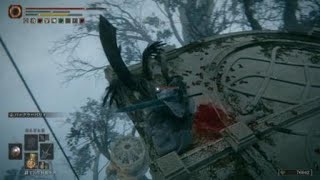 ELDEN RING_ショトカ