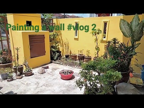 Painting a wall #vlog 2  #painting #house  #how #youtuber  #viralvideo