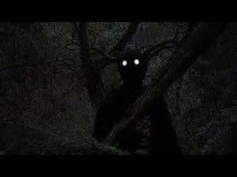 forest of the damned (dark ambient playlist)