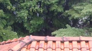 Som de chuva relaxante!!!! Sons da natureza para relaxar e meditar!