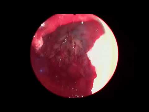 Alejandro Enrique Coronado Rosales-10