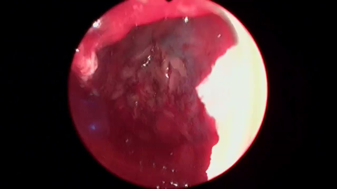 Alejandro Coronado-6