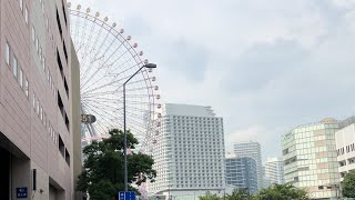 横浜にきたンゴ