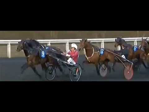 Prix D'Amerique Opodo 2015_Up And Quick_J.M. Bazire