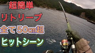 超簡単！LSJ！リトリーブだけで50㎝以上の魚をヒットさせたシーン集。