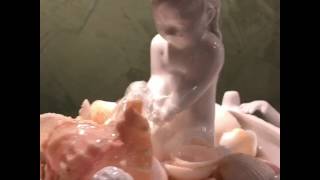Liz's Water Fountains