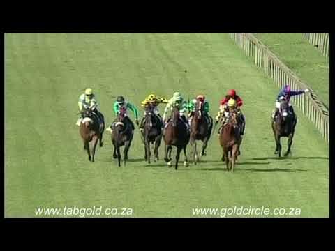 20180228 Scottsville Race 7 won by SNIPER SHOT