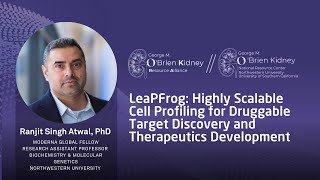 LeaPFroG:Highly Scalable Cell Profiling for Druggable Target Discovery and Therapeutics Development