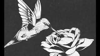 COG - Drawn Together