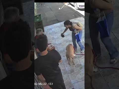 Lo dejaron velando 🤣😂