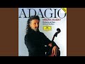 Tchaikovsky: Nocturne, Op. 19 No. 4 (Version for Cello & Orchestra)