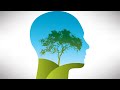 Your Brain from a Courts of Heaven Paradigm  #1