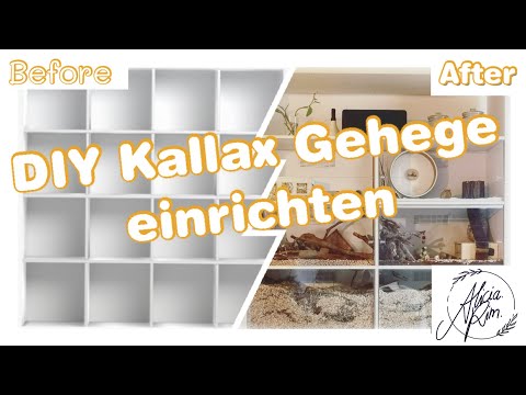 IKEA Hack - DIY Kallax Rennmaus Käfig einrichten 😍