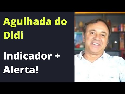 Agulhada do Didi