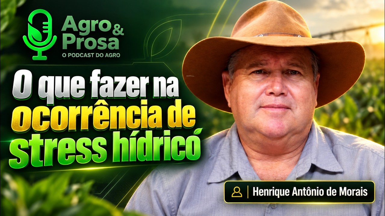 O que fazer na ocorrência de stress hídrico