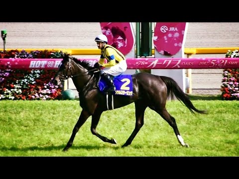 2017.05.21オークス優駿牝馬(G1)ウイニングラン(ソウルスターリング＆ルメール)＠東京競馬場