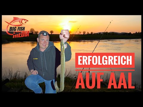 Erfolgreich am Fluss auf Aal - Angeln mit Veit Wilde