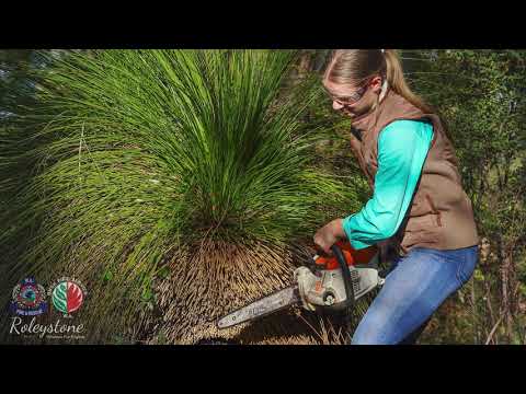 Grasstree Information and Burning Management