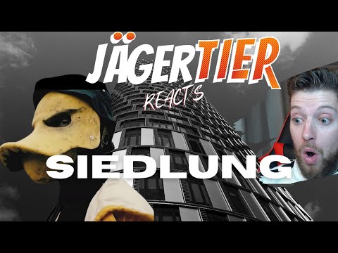 AMERICAN REACTS TO German Rap: ENTETAINMENT - SIEDLUNG