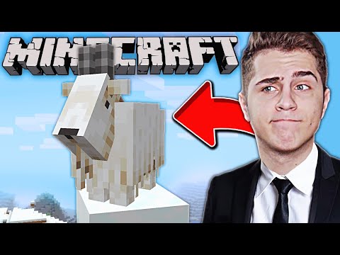 GASIM Primele *CAPRE* de pe MINECRAFT !