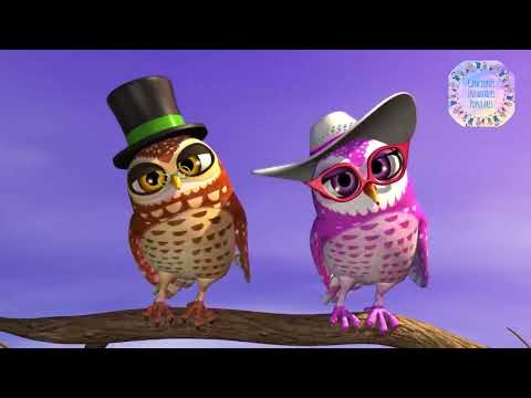 Miranda La Lechuza y Miron el Lechuzon - La Granja de Zenon - Musikids
