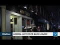 Animal activists return to protest west end restaurant