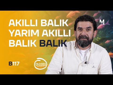 Kişi Arkadaşından Azar - B117 - Biri Bir Gün | Serdar Tuncer
