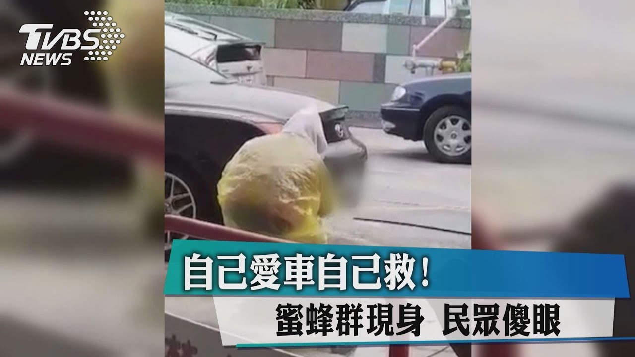 自己愛車自己救!蜜蜂群現身 民眾傻眼