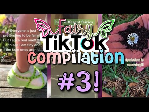 Fairy TikTok compilation #3! Fairy Fairytok