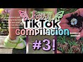 Fairy TikTok compilation #3! Fairy Fairytok