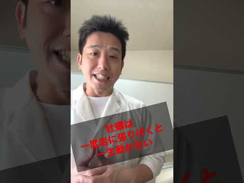 月の感覚を持つ牡蠣