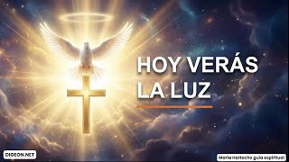 Por Fin se soluciona...🩵Arcángel Miguel💌MENSAJE DE LOS ÁNGELES PARA TI -DIGEON - Ens. VERTI