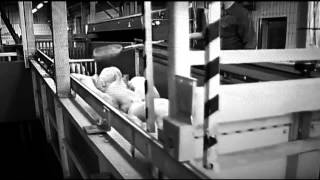 Cass McCombs - Name Written In Water