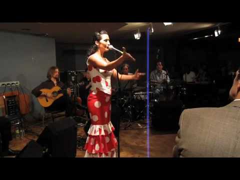 Promotional video thumbnail 1 for Bárbara Martínez Flamenco