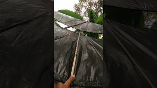 Download lagu ngejar layangan gapangan Pegon ceper putus😱😱‼️ mp3