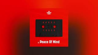 Dip Doundou Guiss - Peace Of Mind